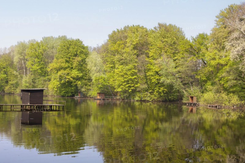 Old Rhine arm with fishing jetties near Jockgrim