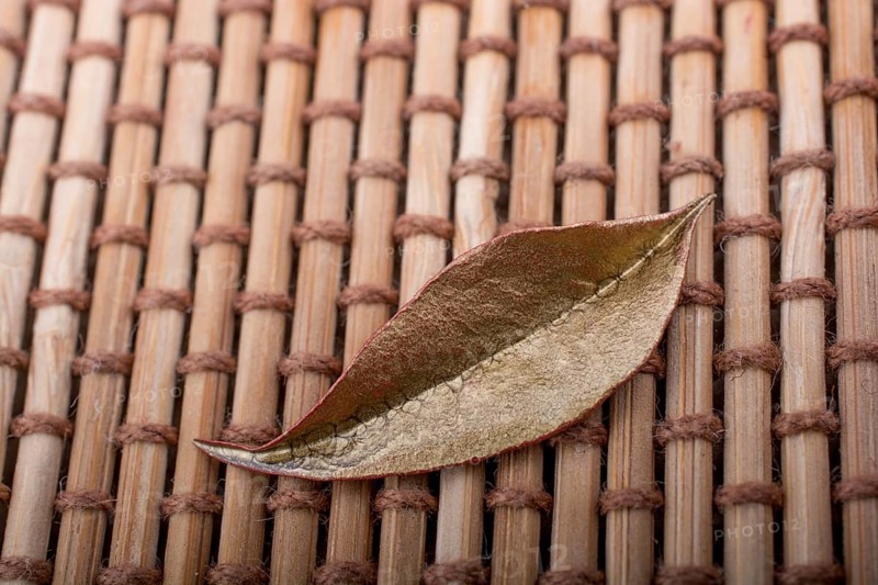 Dry leaf on brown straw carpet background