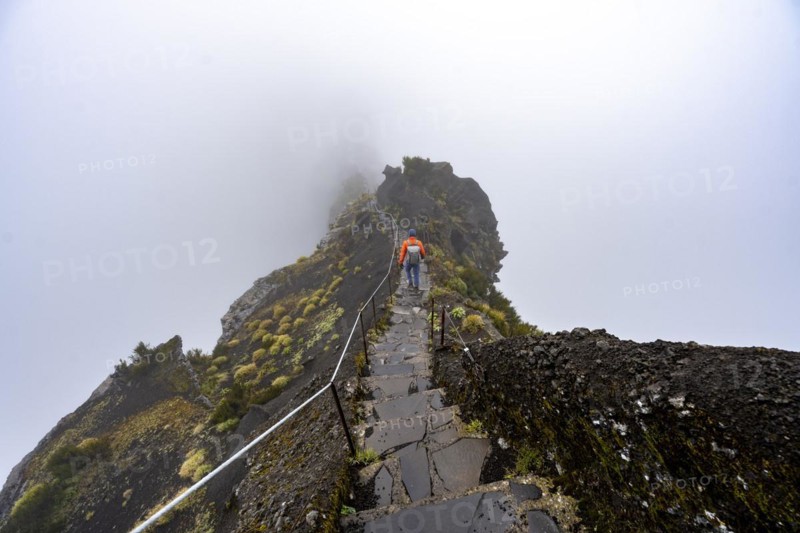 Hikers in the mist