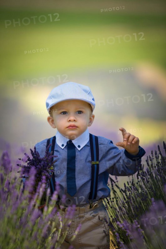 Beautiful little boy on a sunny day in a lavender field. Poland