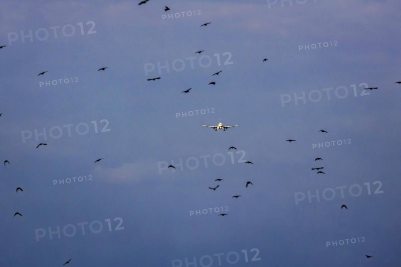 Aircraft on approach