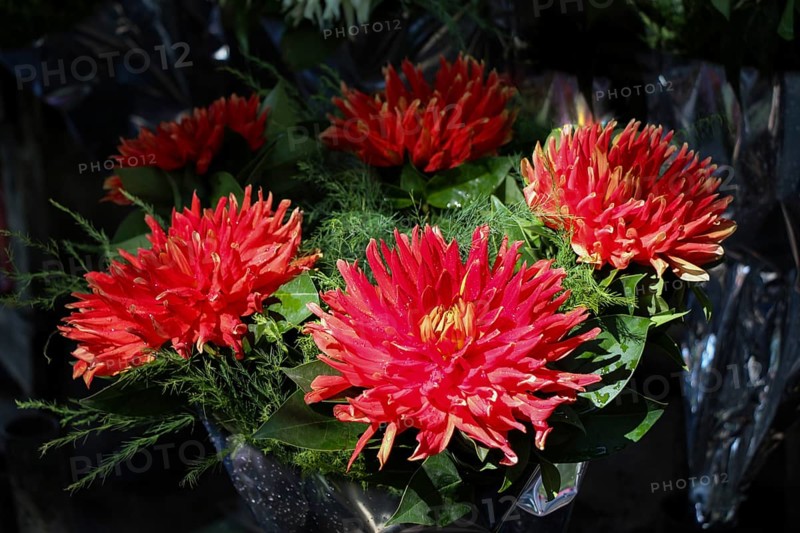 Beautiful bouquet of flowers on street flower vendor
