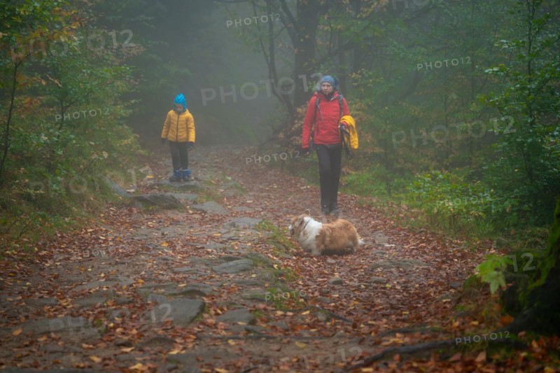 Mum and her little son go on a mountain trail in wet autumn weather. They are accompanied by a dog. Polish mountains
