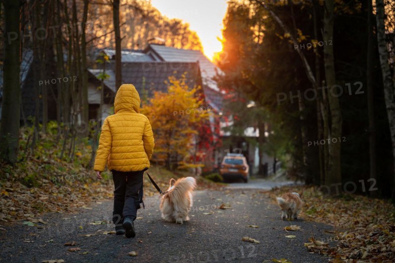 The little kid and his Corgi dog spend time together at sunrise. Fall season