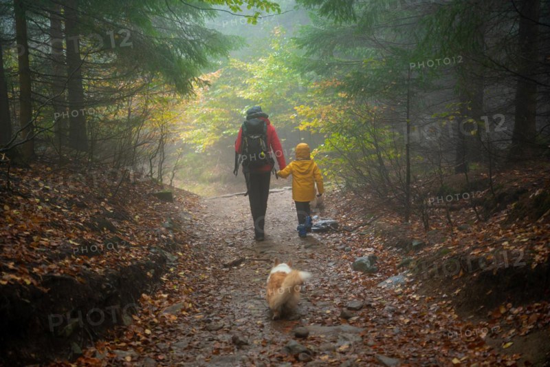 Mum and her little son go on a mountain trail in wet autumn weather. They are accompanied by a dog. Polish mountains