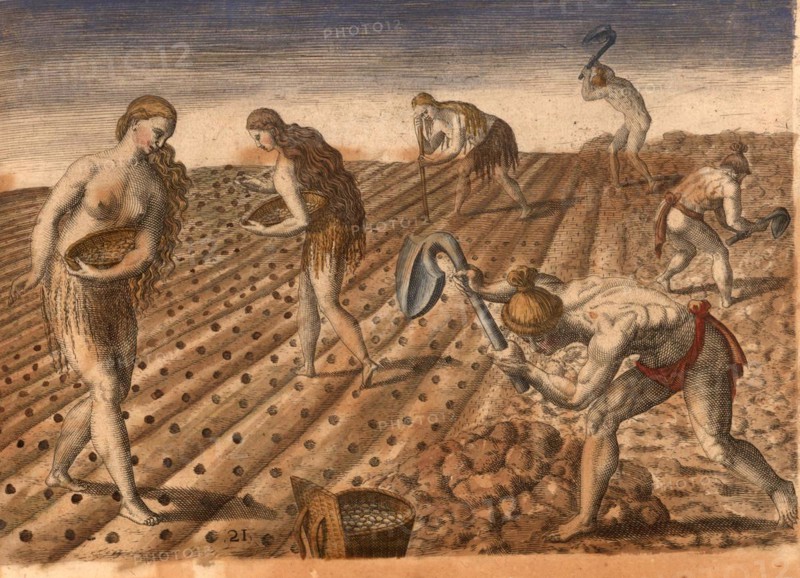 Native American men till the soil and woman plant seeds. Contains baskets with seeds