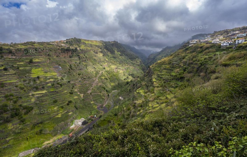 View in ravine