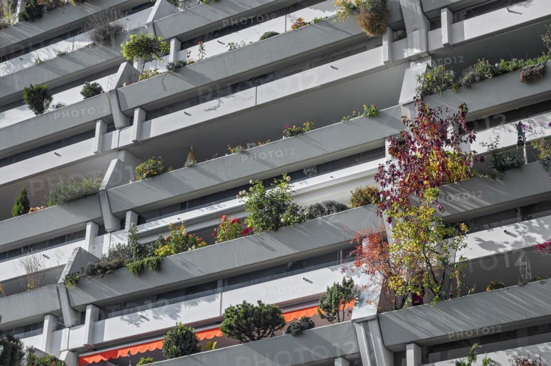High-rise building with greened concrete balconies in the former Olympic Village