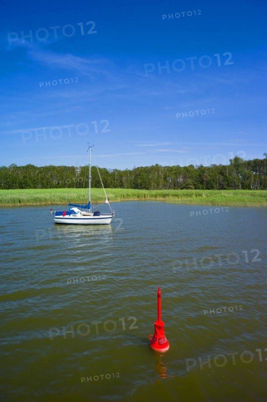 Saaler Bodden
