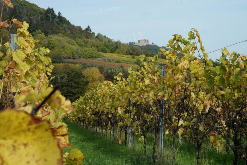 Hambach Castle