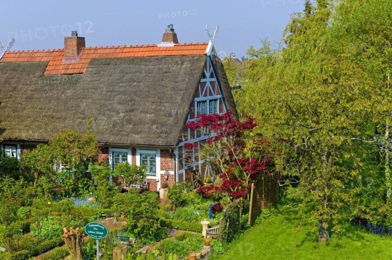 Old country farmhouse in Luehe Gruenendeich