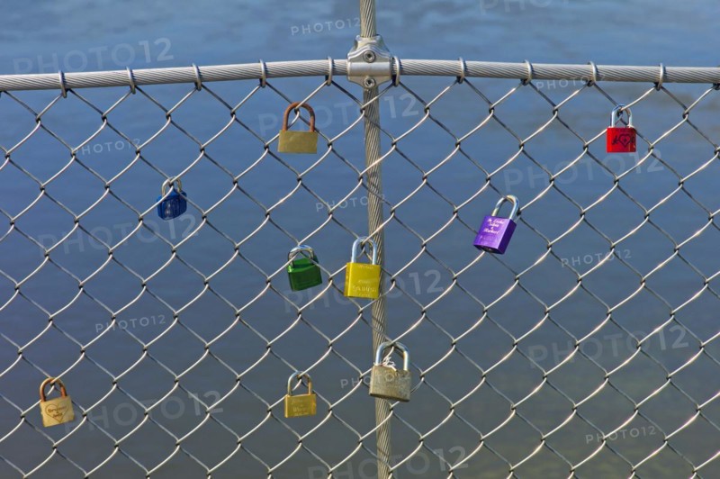 Loyalty locks on a Machendraht fence