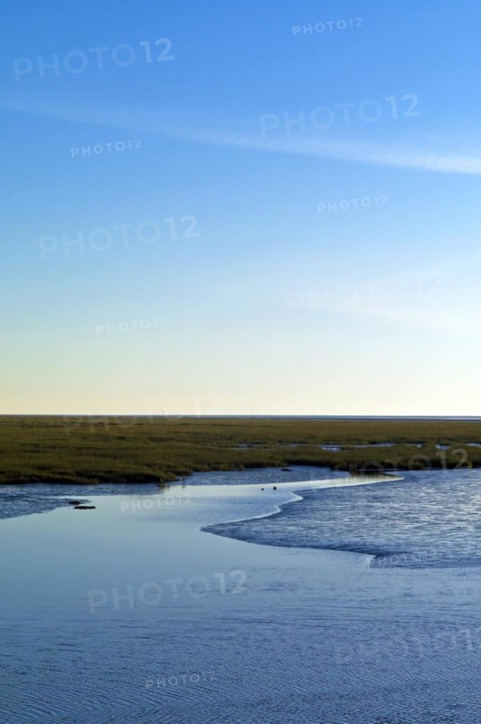 Wadden Sea with salt marsh and tideway