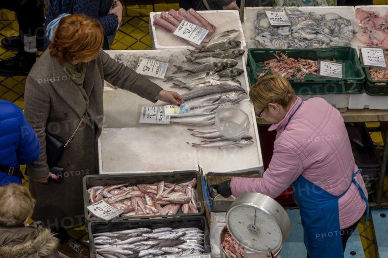 Birds eye view colour photo of a stall full of different fish