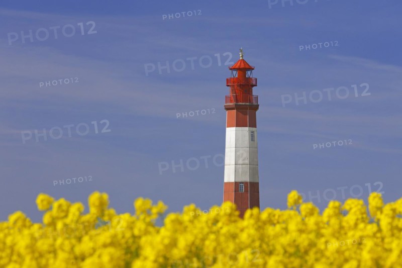 Lighthouse Fluegge