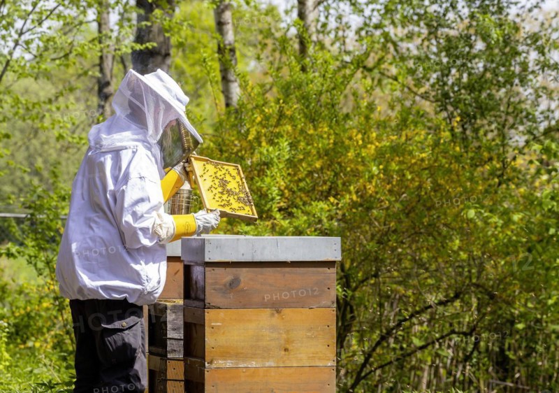 Beekeeper with smoker