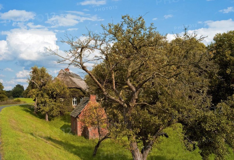 Farmhouse with apple tree and bread baking house in Werderland