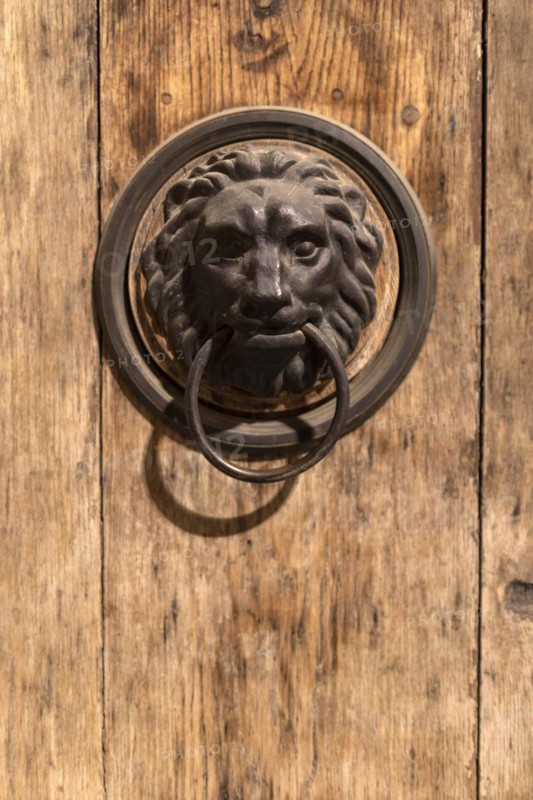Lions head on a door in Zagreb