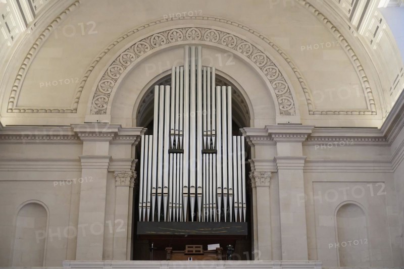 Organ