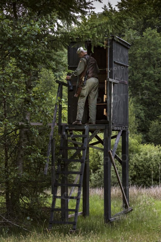 Hunter at a raised hide