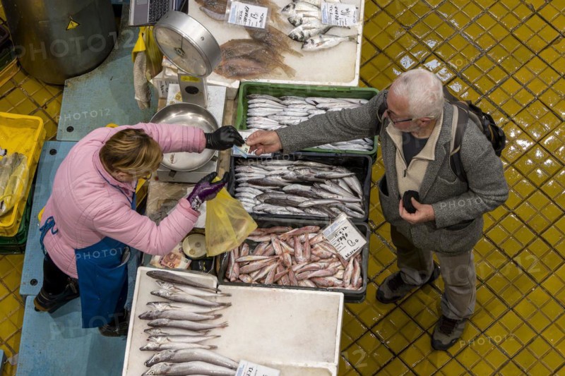 Birds eye colour photo of a stall full of different fish