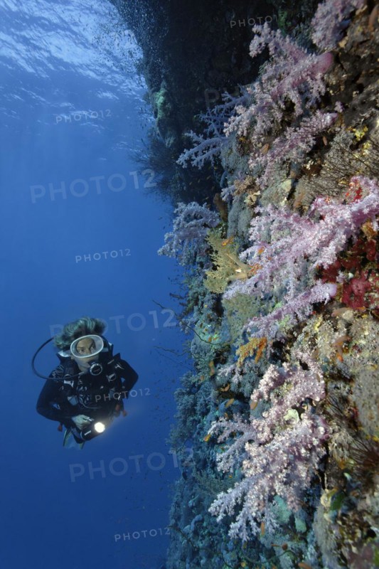 Female diver