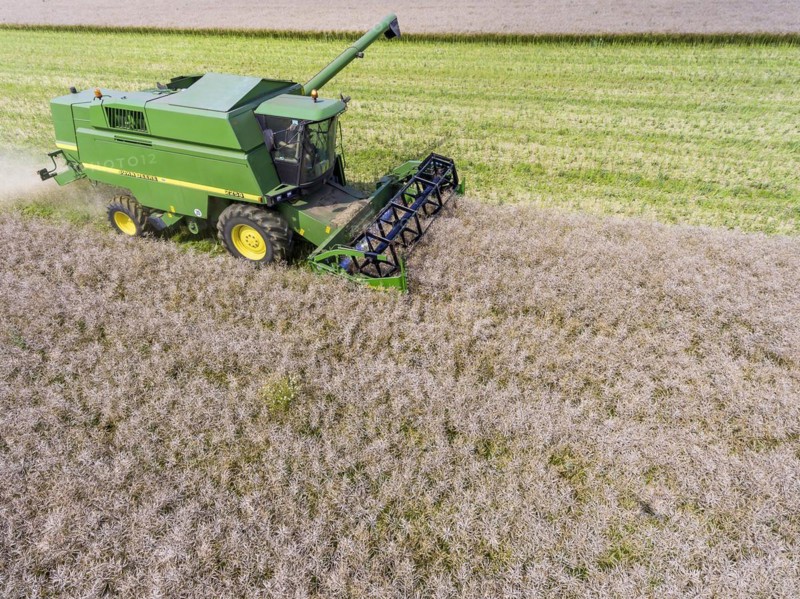 Grain harvest