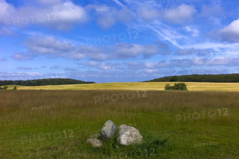 Landscape near the Koenigsstuhl
