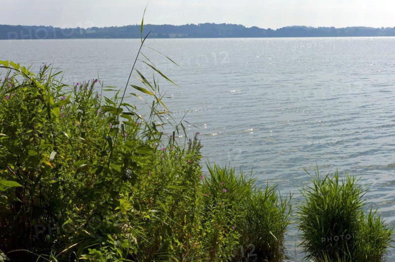 The lake Windebyer Noor
