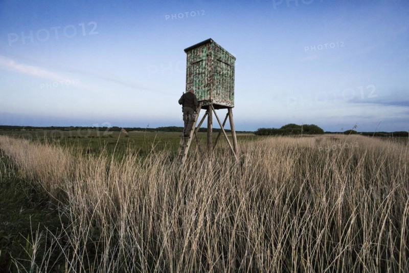 Hunter at a raised hide