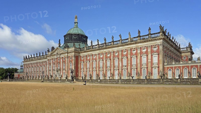 The New Palace
