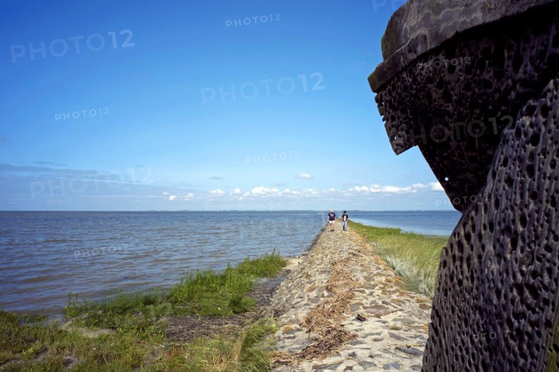 Fedderwardersiel in the Wesermarsch district Weser estuary at high tide Bank stabilisation