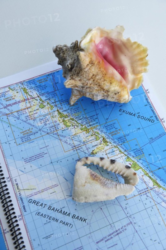 Map of the Great Bahama Bank with Conch Shell