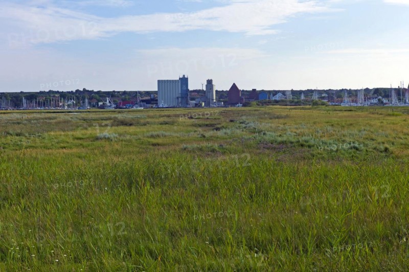 View of the Graswarder nature reserve
