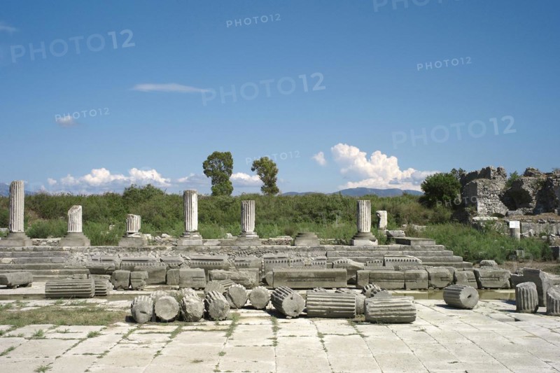 Pillared House