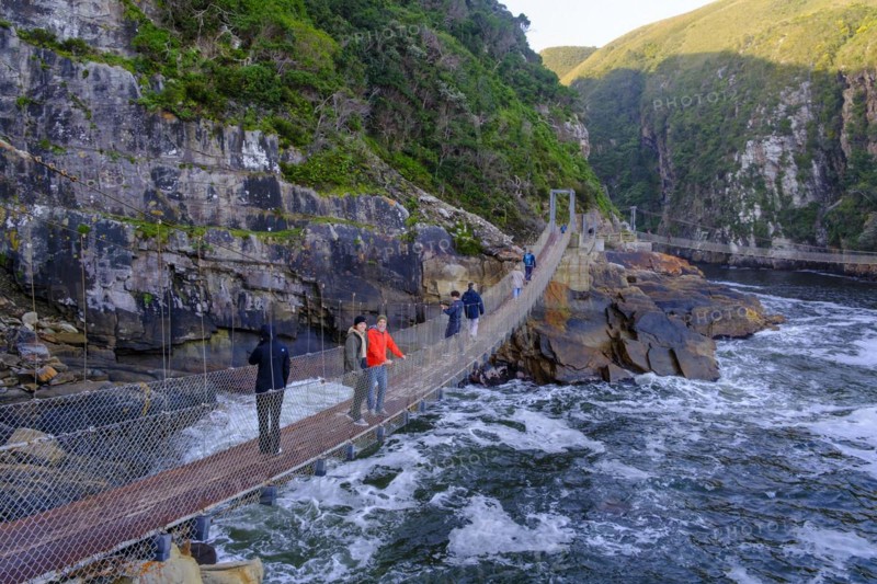Suspension Bridge