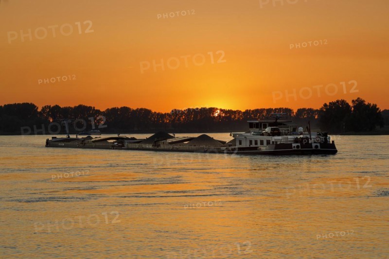 Freighter on the Rhine in the evening