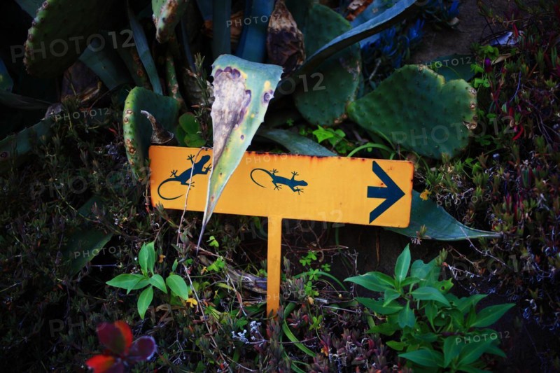 Pallanca exotic garden