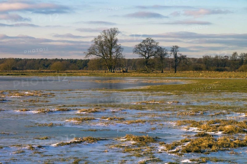 Iced Wuemmewiesen in Fischerhude