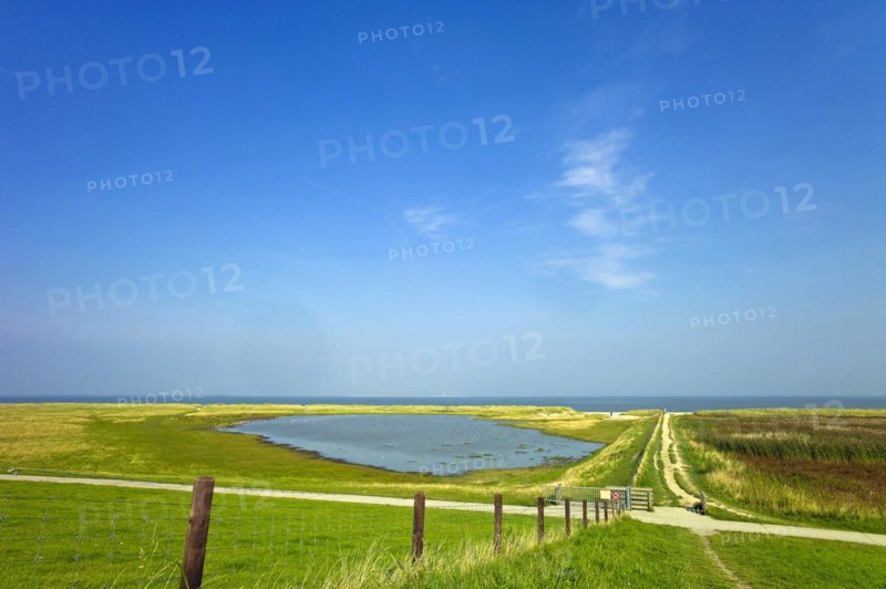 Salt marshes and beach at Schillig