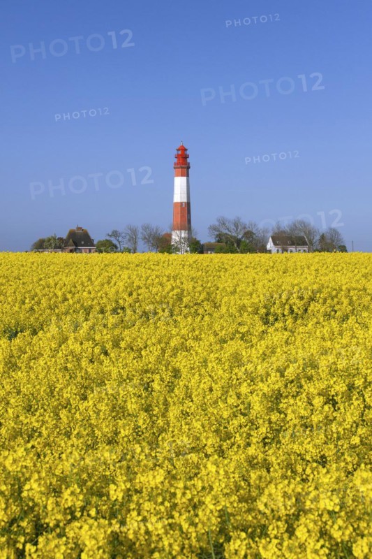Lighthouse Fluegge