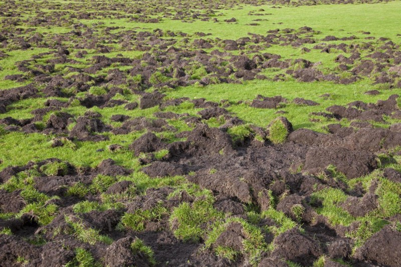 Ruined football field