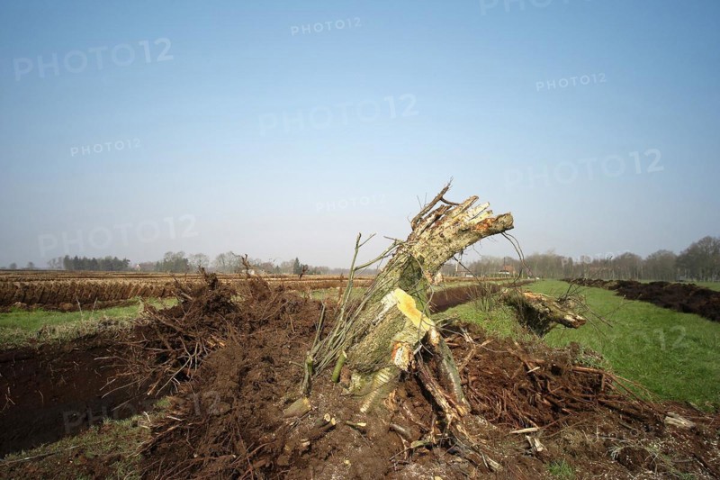 Peat cutting in the Wesermarsch region