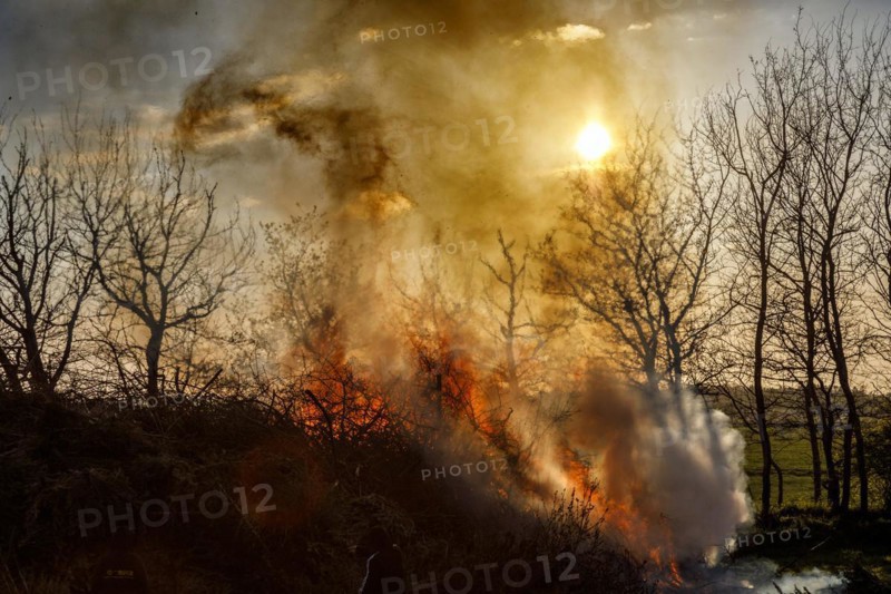 Fire