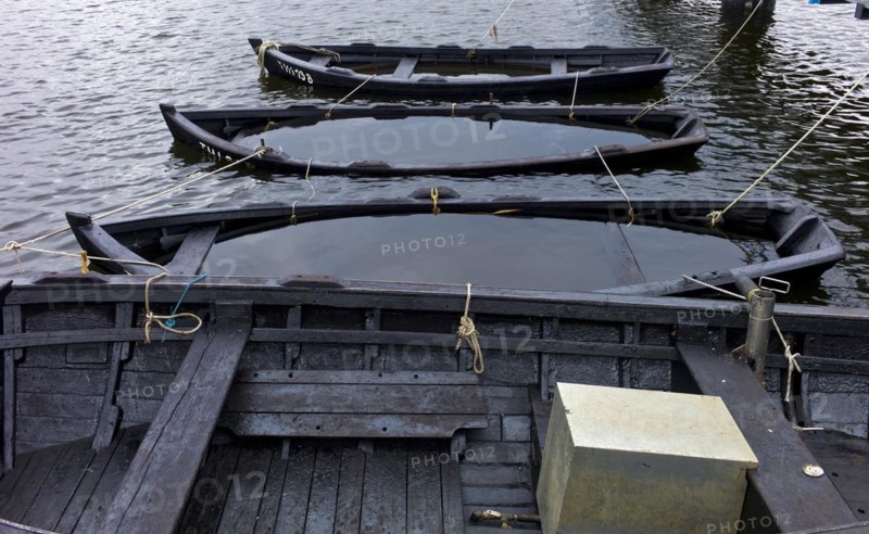 Rowing boats submerged in the harbour of Thiessow