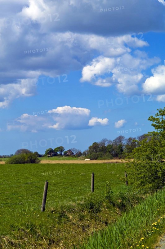 North Frisian Landscape