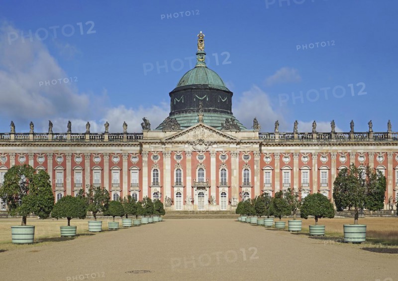 The New Palace