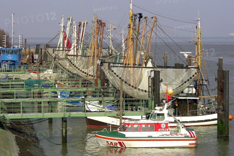 Wesermarsch Butjadingen Fedderwardersiel Harbour Ships