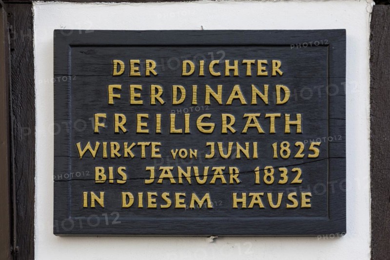 Haus zur Rose or Freiligrath House