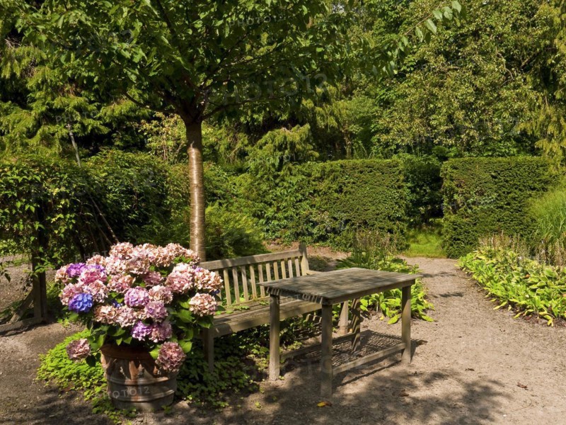 In a summer garden